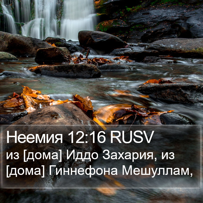 Неемия 12:16 RUSV Bible Study