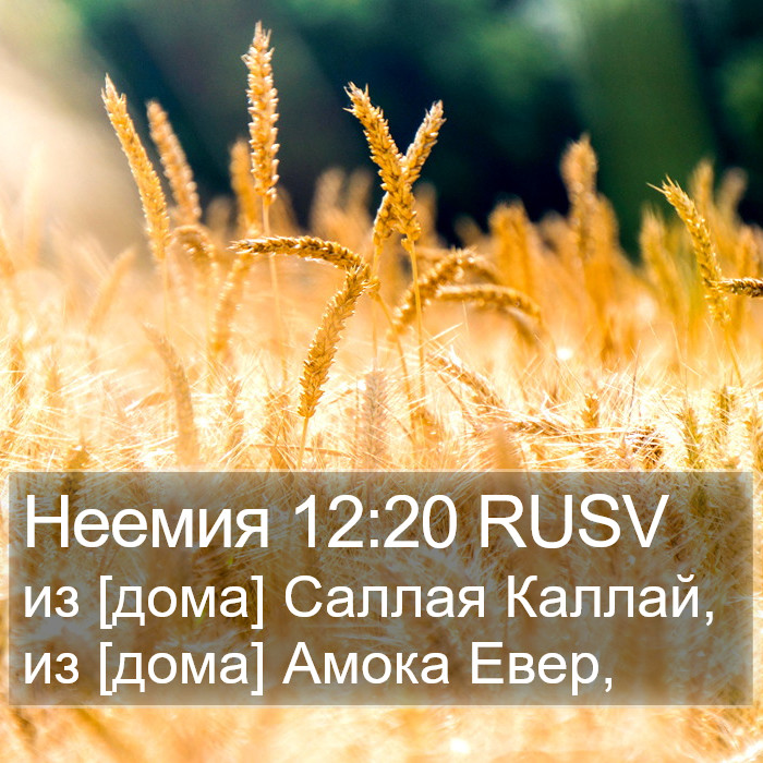 Неемия 12:20 RUSV Bible Study