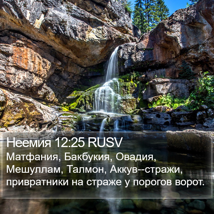 Неемия 12:25 RUSV Bible Study