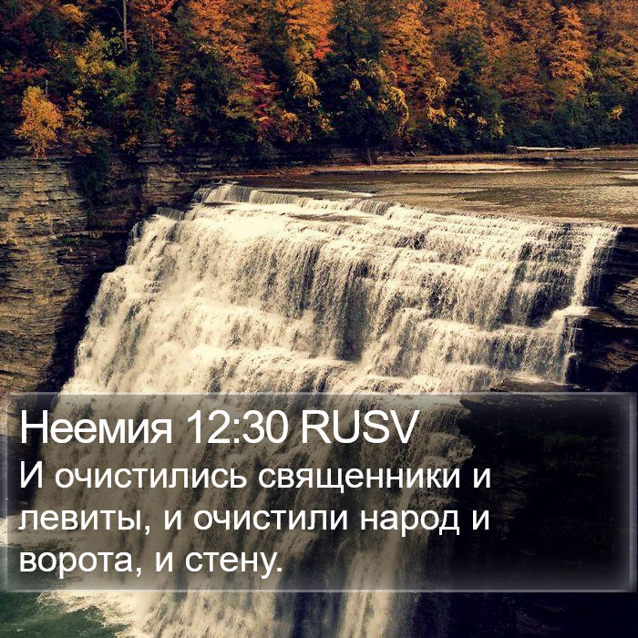 Неемия 12:30 RUSV Bible Study