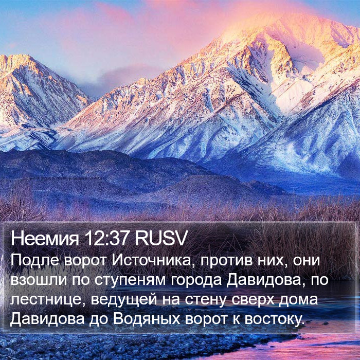 Неемия 12:37 RUSV Bible Study