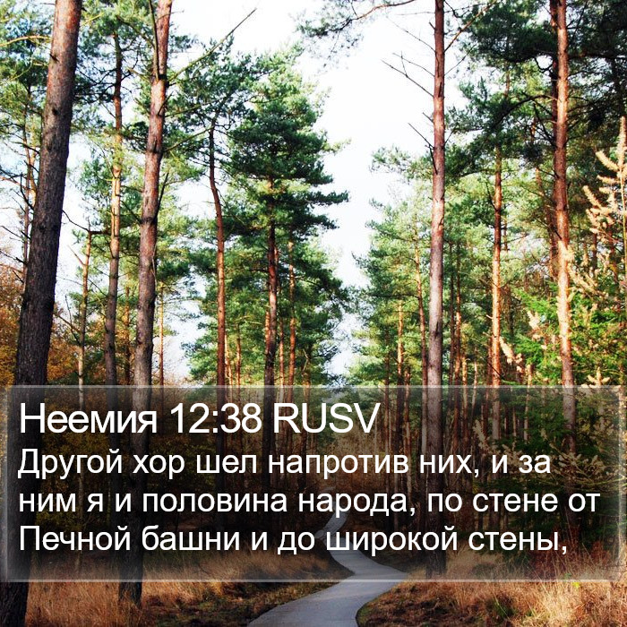 Неемия 12:38 RUSV Bible Study