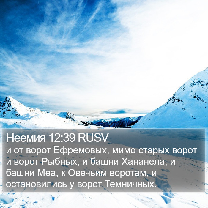 Неемия 12:39 RUSV Bible Study