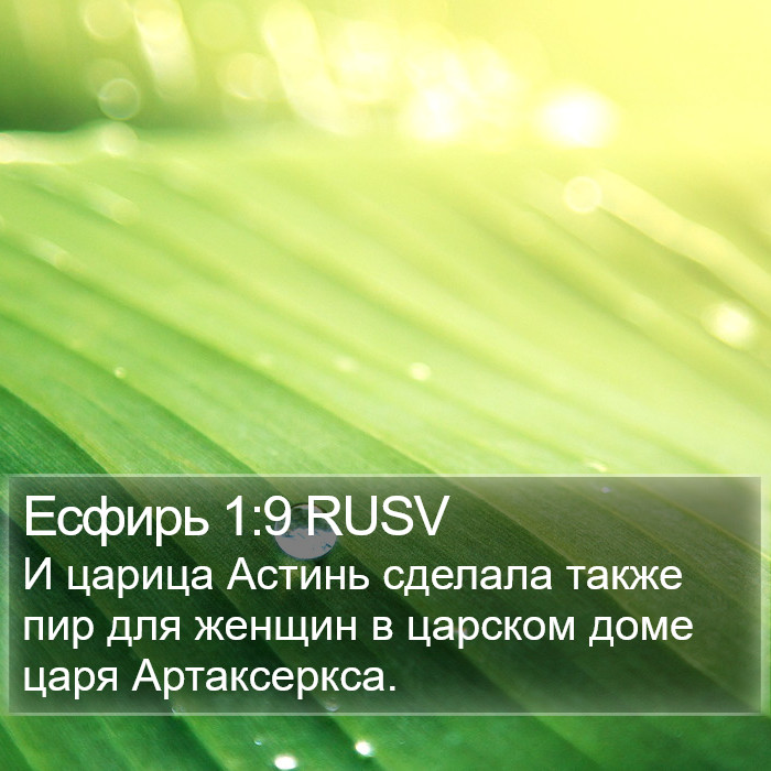 Есфирь 1:9 RUSV Bible Study