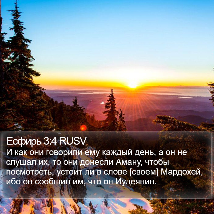 Есфирь 3:4 RUSV Bible Study