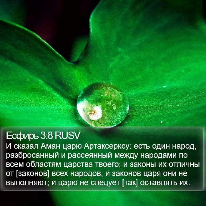 Есфирь 3:8 RUSV Bible Study