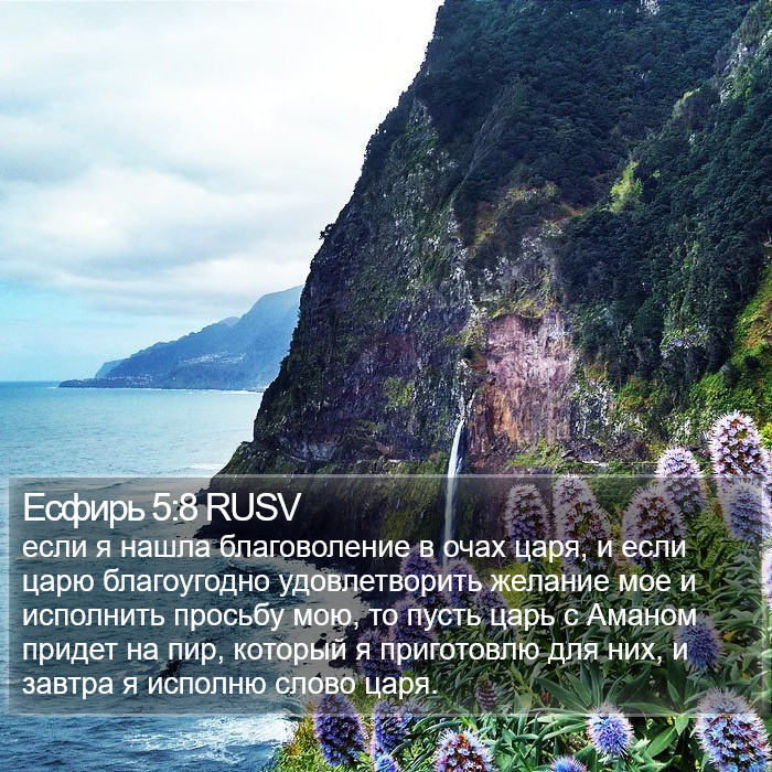 Есфирь 5:8 RUSV Bible Study