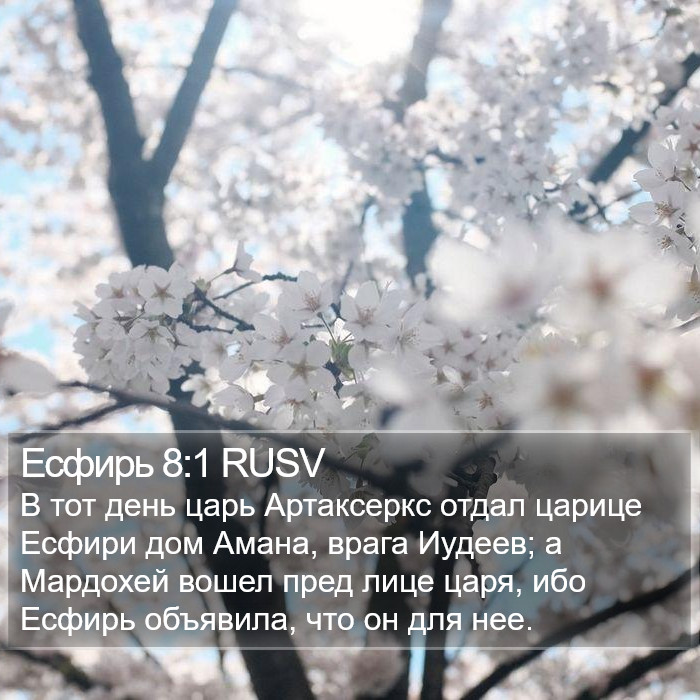 Есфирь 8:1 RUSV Bible Study