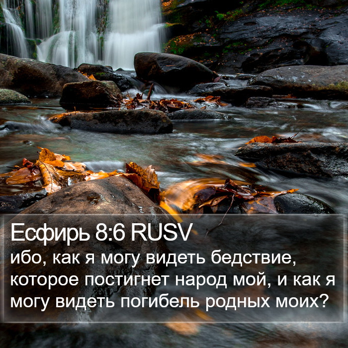 Есфирь 8:6 RUSV Bible Study