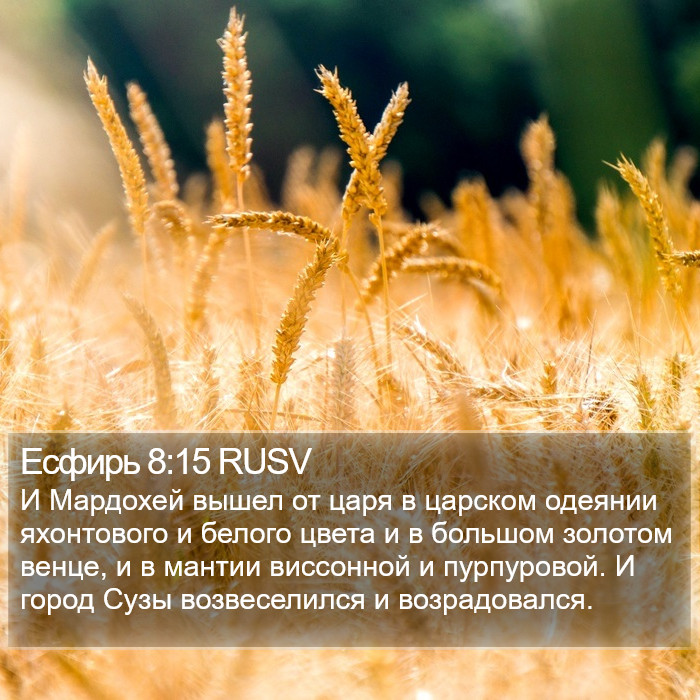 Есфирь 8:15 RUSV Bible Study