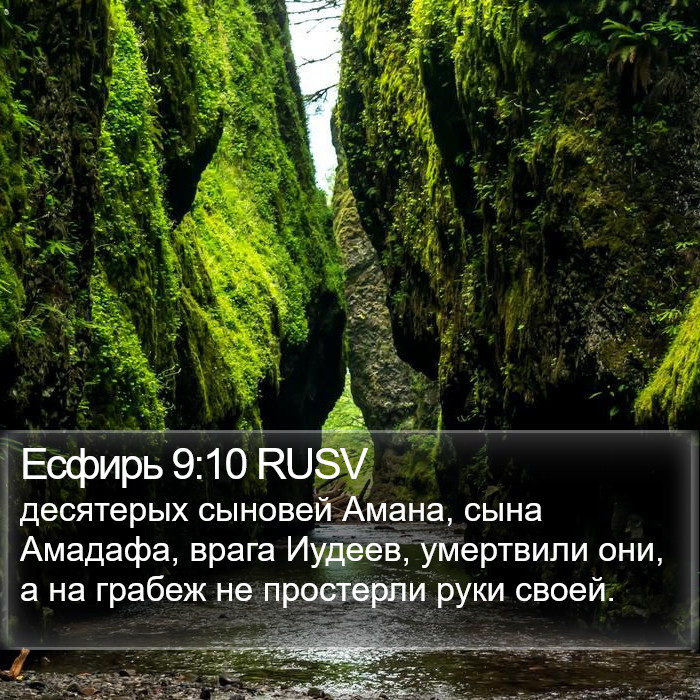 Есфирь 9:10 RUSV Bible Study