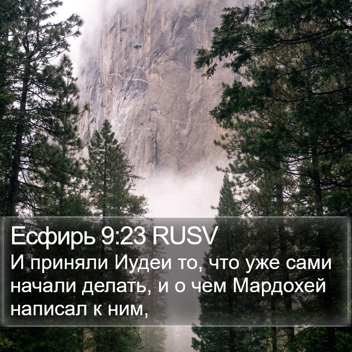 Есфирь 9:23 RUSV Bible Study