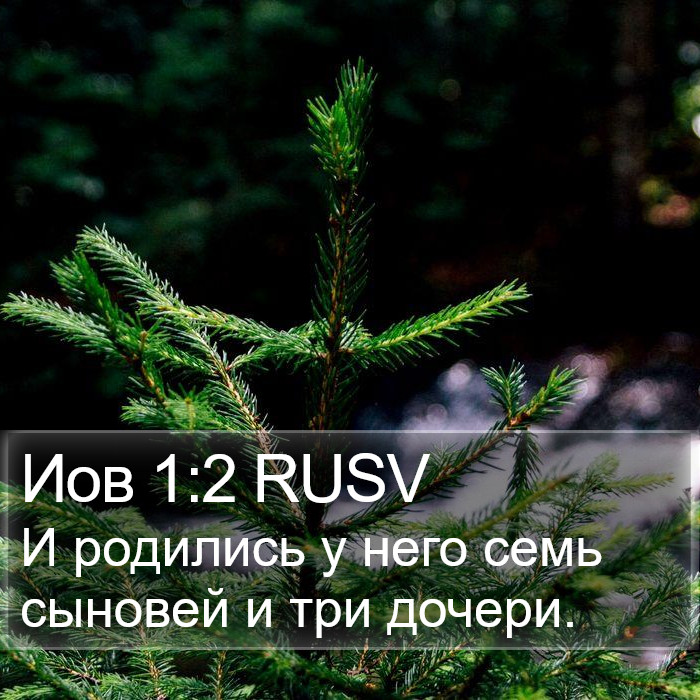 Иов 1:2 RUSV Bible Study