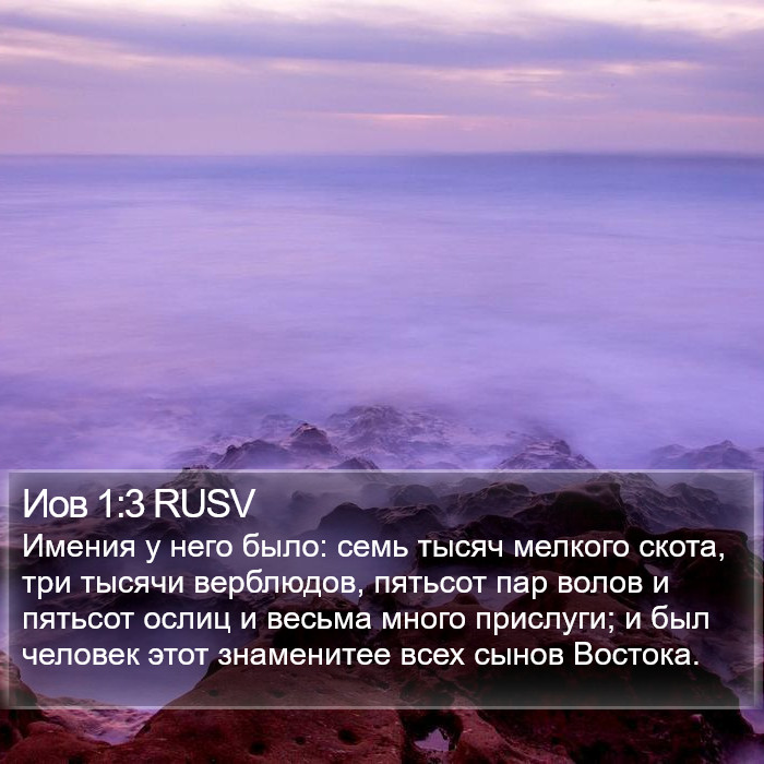 Иов 1:3 RUSV Bible Study