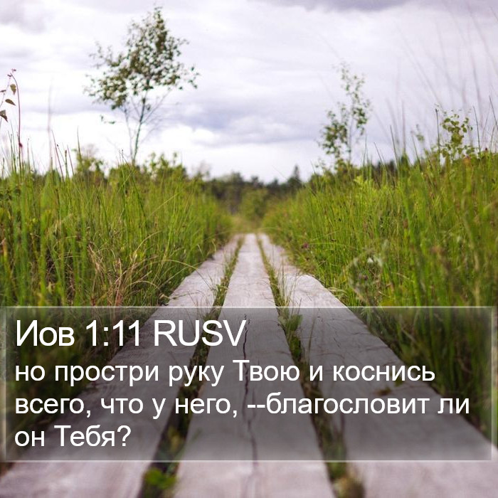 Иов 1:11 RUSV Bible Study