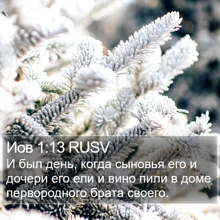 Иов 1:13 RUSV Bible Study