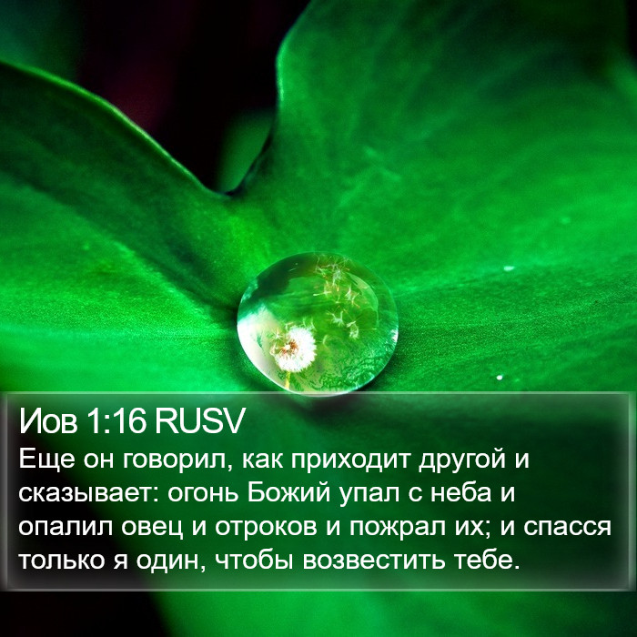 Иов 1:16 RUSV Bible Study