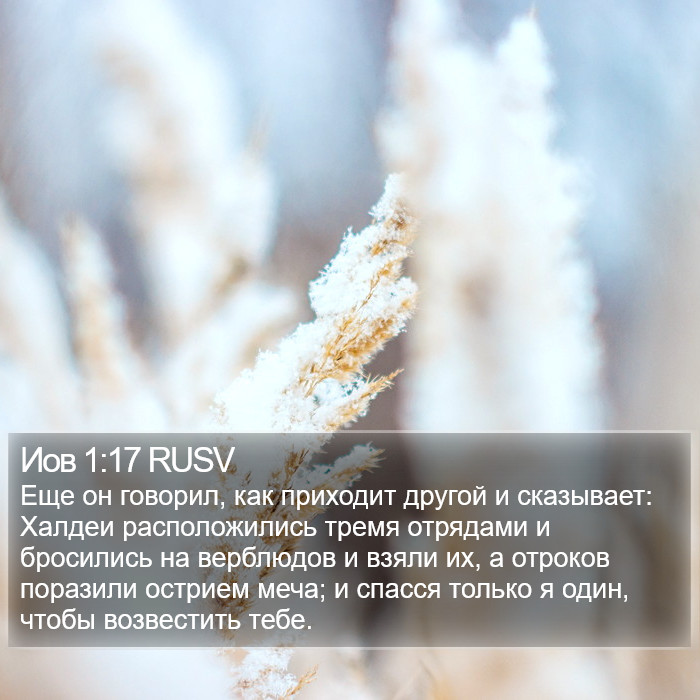 Иов 1:17 RUSV Bible Study