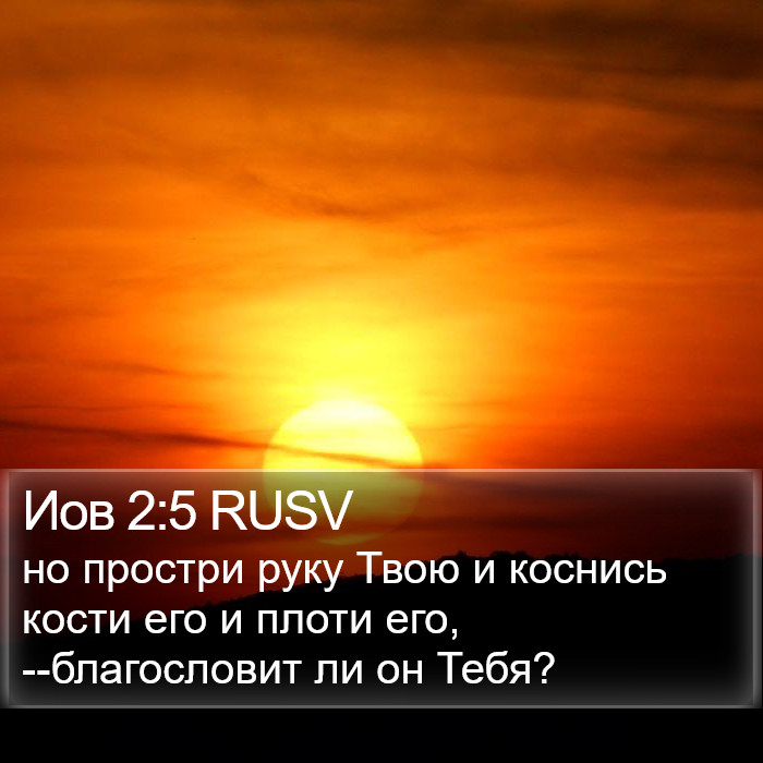 Иов 2:5 RUSV Bible Study