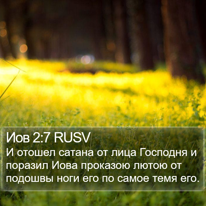 Иов 2:7 RUSV Bible Study