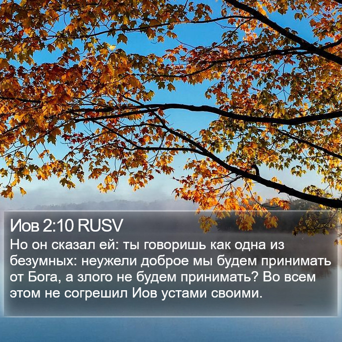 Иов 2:10 RUSV Bible Study