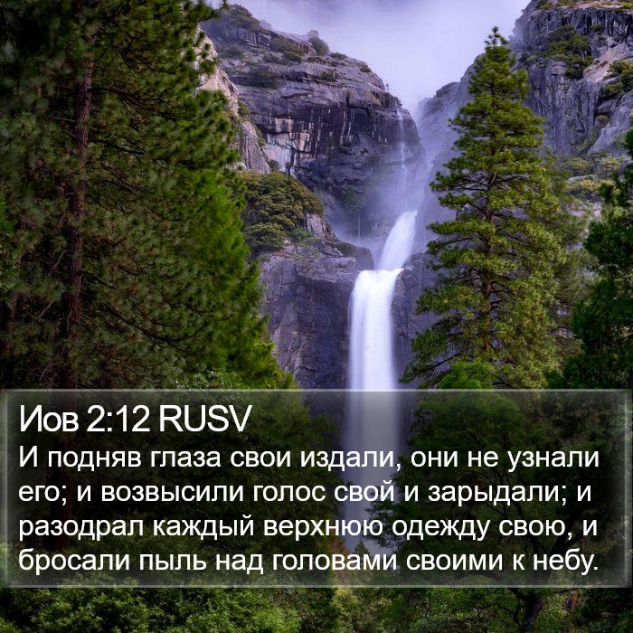 Иов 2:12 RUSV Bible Study