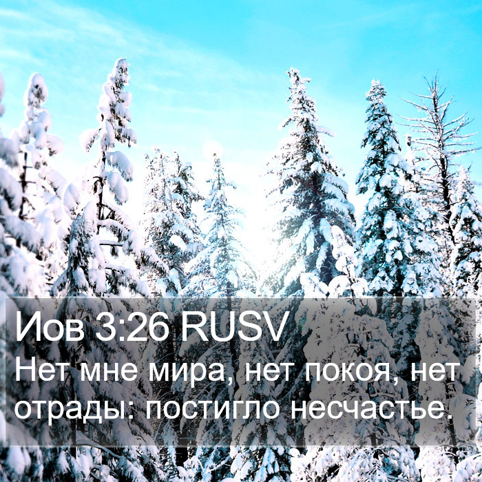 Иов 3:26 RUSV Bible Study