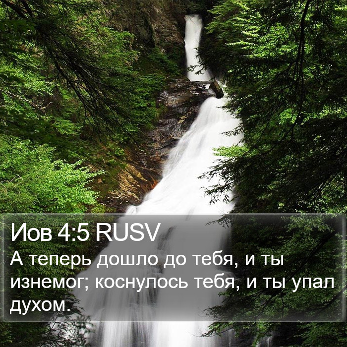 Иов 4:5 RUSV Bible Study