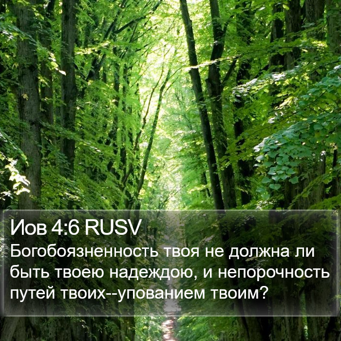 Иов 4:6 RUSV Bible Study