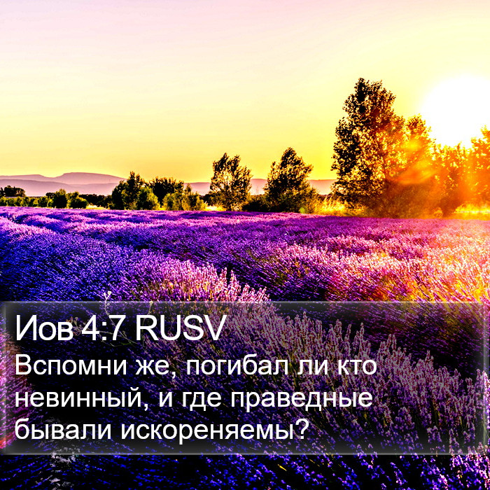 Иов 4:7 RUSV Bible Study