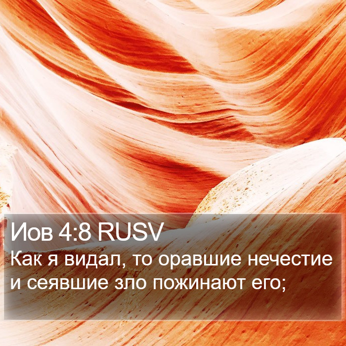 Иов 4:8 RUSV Bible Study