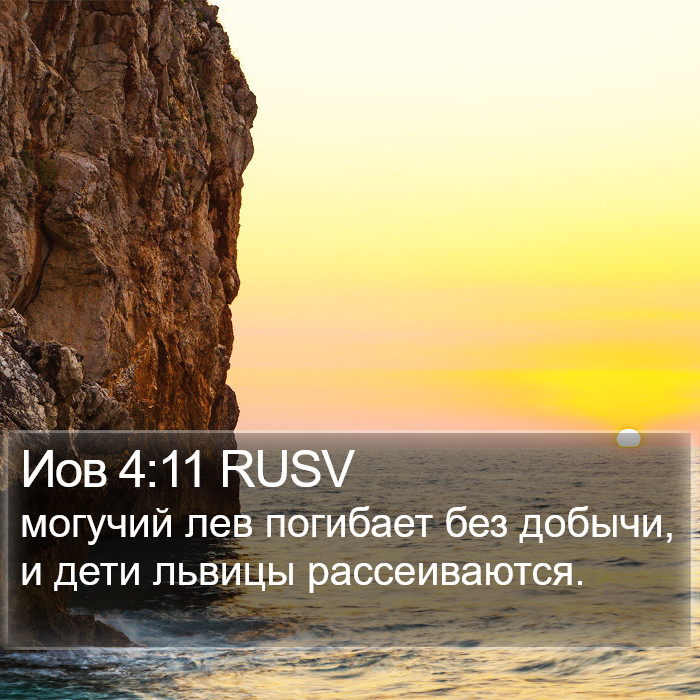 Иов 4:11 RUSV Bible Study