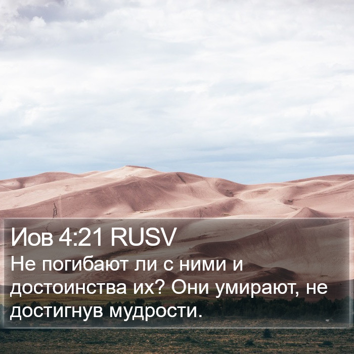 Иов 4:21 RUSV Bible Study