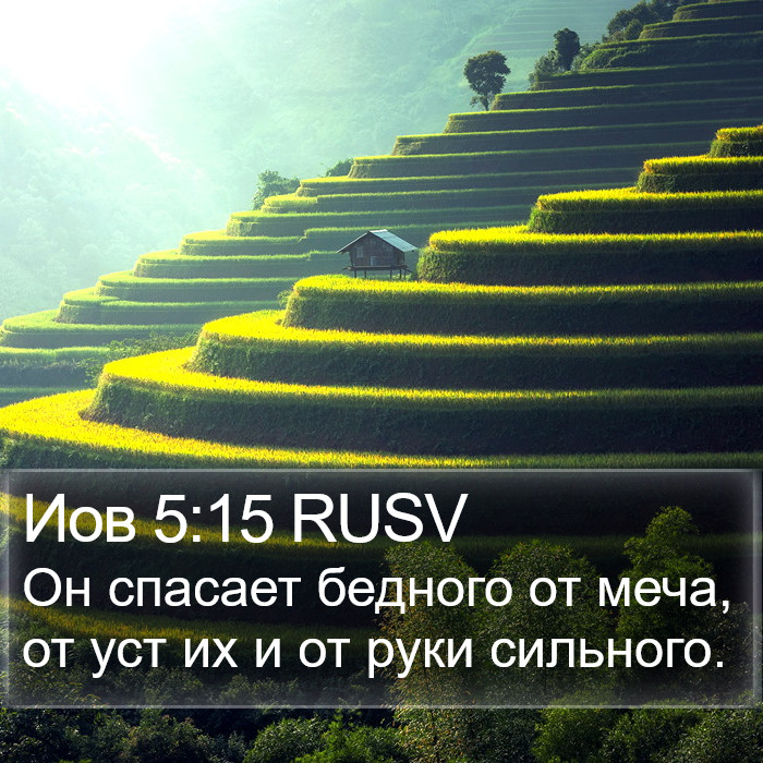 Иов 5:15 RUSV Bible Study