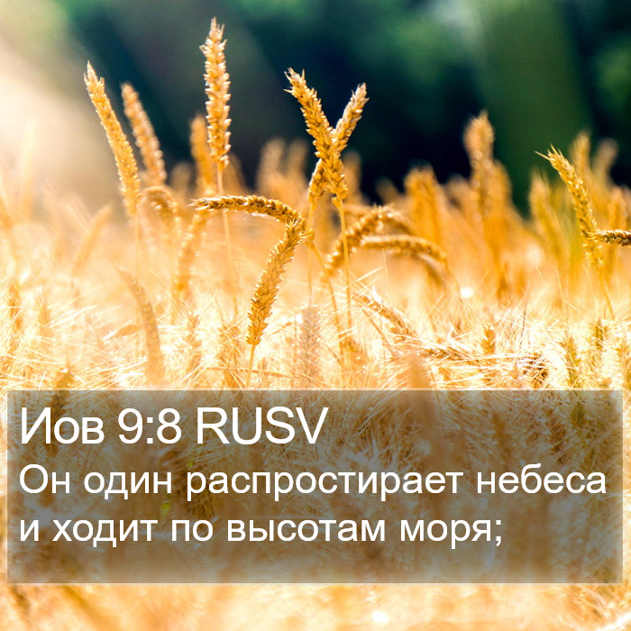 Иов 9:8 RUSV Bible Study