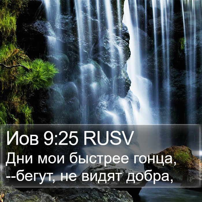 Иов 9:25 RUSV Bible Study