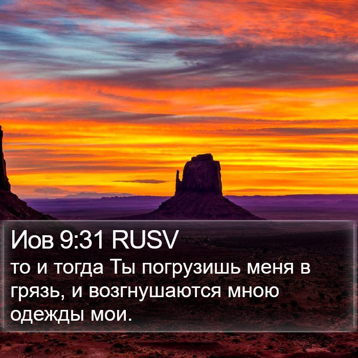 Иов 9:31 RUSV Bible Study