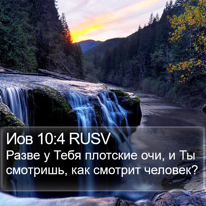 Иов 10:4 RUSV Bible Study