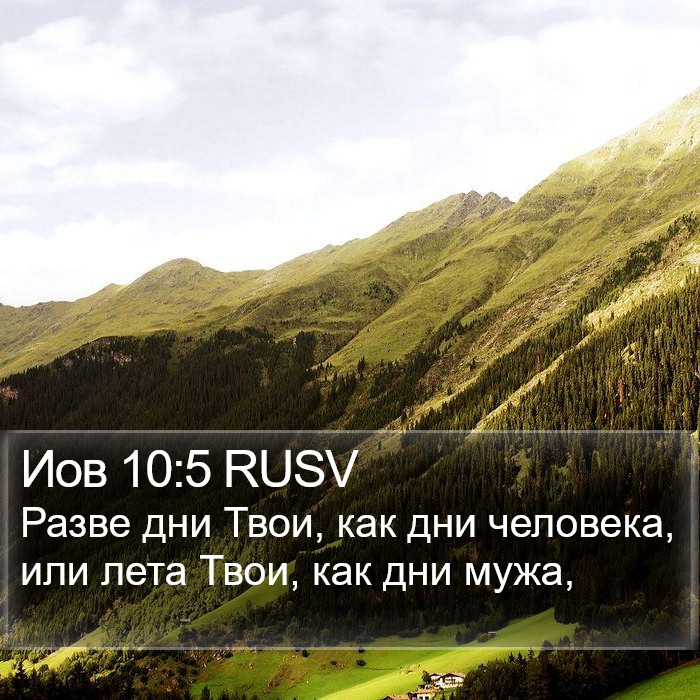 Иов 10:5 RUSV Bible Study