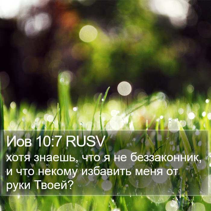 Иов 10:7 RUSV Bible Study
