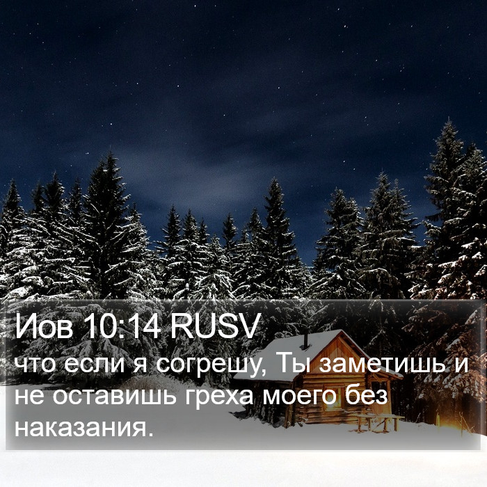Иов 10:14 RUSV Bible Study