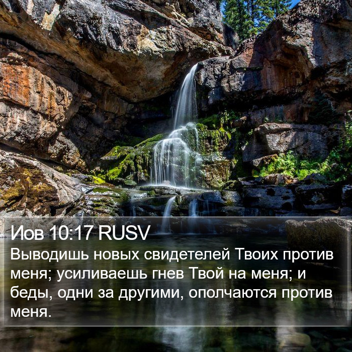 Иов 10:17 RUSV Bible Study