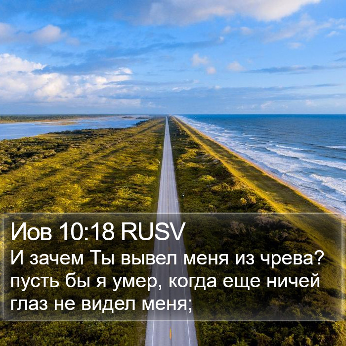 Иов 10:18 RUSV Bible Study