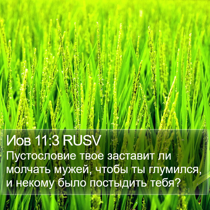 Иов 11:3 RUSV Bible Study