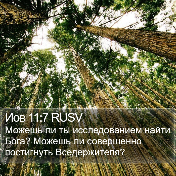 Иов 11:7 RUSV Bible Study