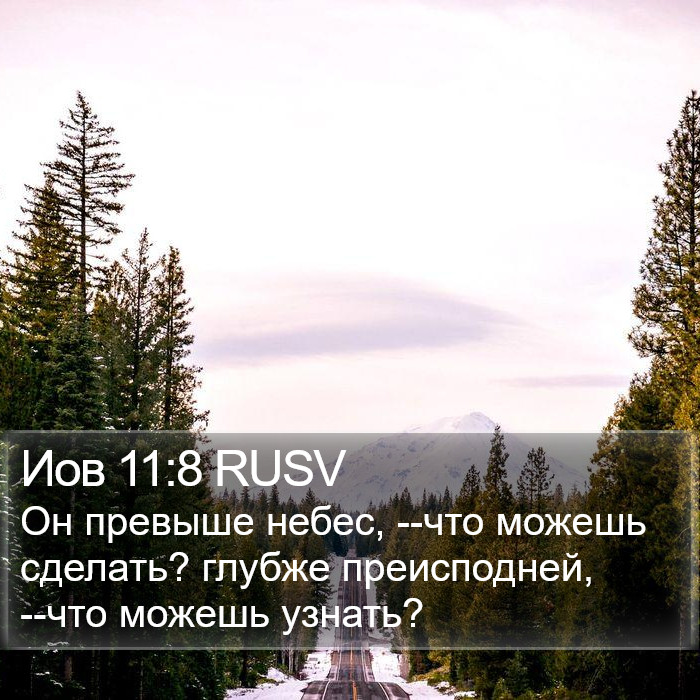 Иов 11:8 RUSV Bible Study