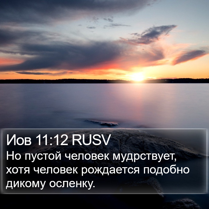 Иов 11:12 RUSV Bible Study