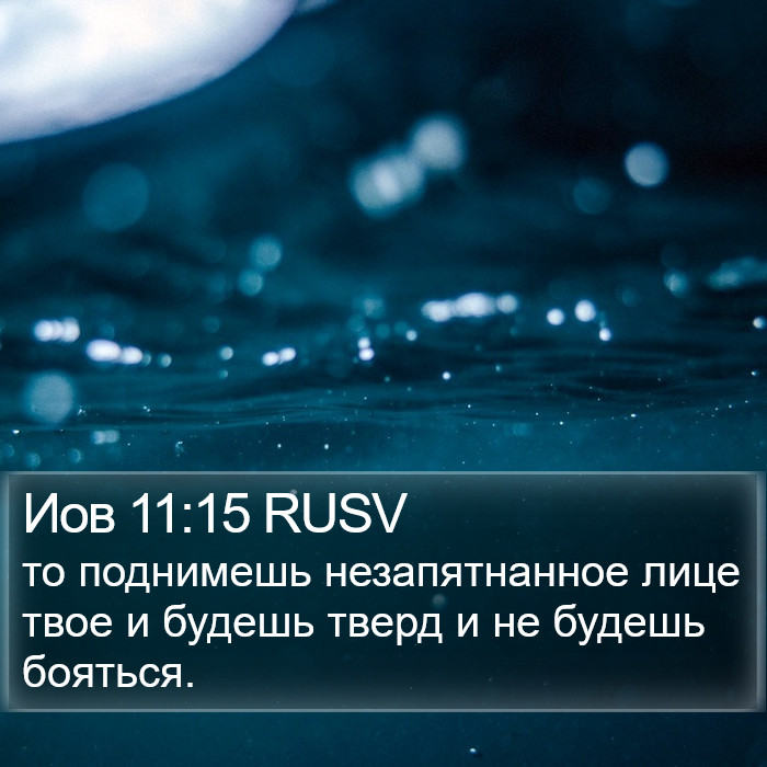 Иов 11:15 RUSV Bible Study