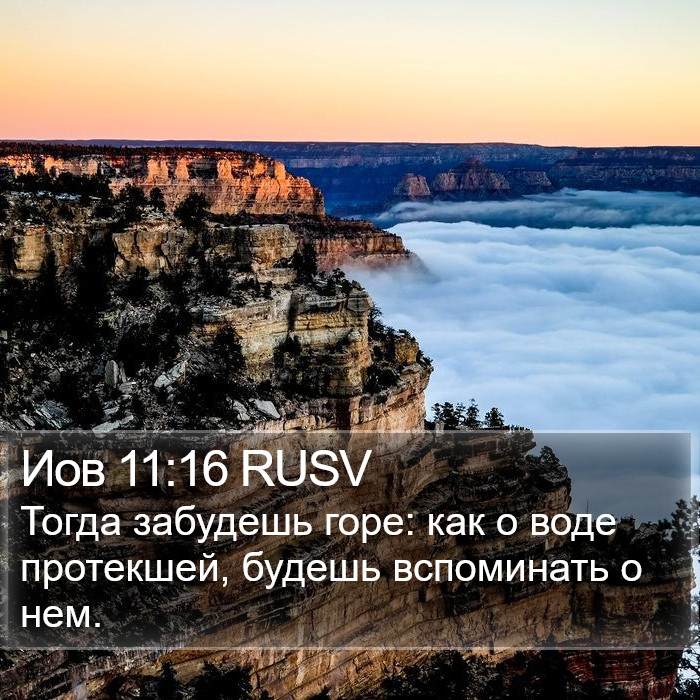 Иов 11:16 RUSV Bible Study