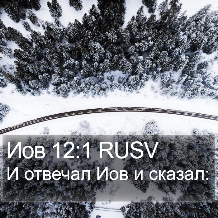 Иов 12:1 RUSV Bible Study